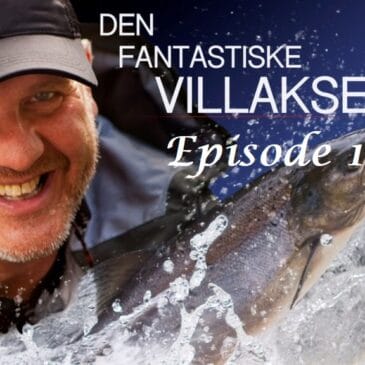 Den fantastiske villaksen – alle episodene!