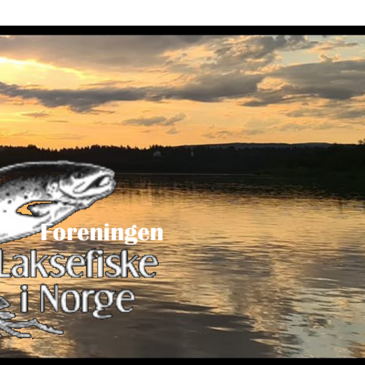 Litt om Foreningen Laksefiske i Norge