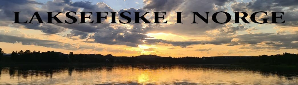 Laksefiske i Norge